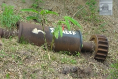 moulin_a_cannes_copie