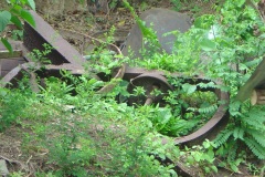 chariot-cannes-a-sucre