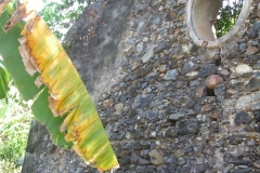 STOCK DE SUCRE