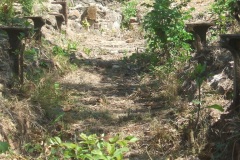 gi_20140627_1195554523