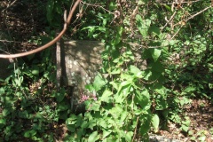 gi_20140627_1238049944