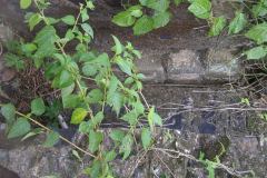 aja_20140627_1075644176