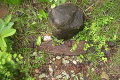 aja_20140627_1272596128