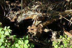aja_20140627_1375591242