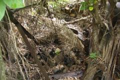 aja_20140627_1431415658