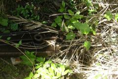 aja_20140627_1457912639