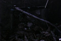 aja_20140627_1520941119