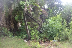 aja_20140627_1687489672