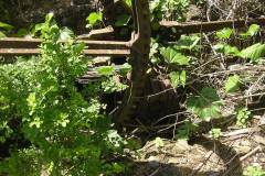 aja_20140627_1712364000