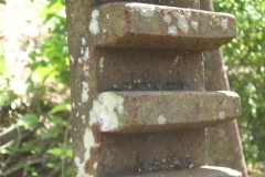 aja_20140627_1728796512