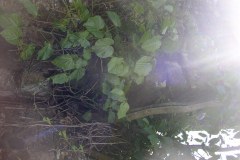 aja_20140627_1792999643