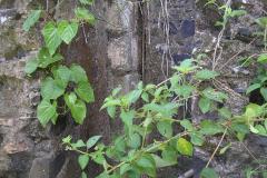 aja_20140627_1851798407