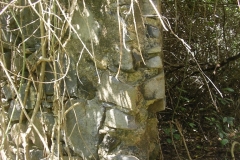 aja_20140627_1912438355