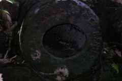 aja_20140627_1916866749