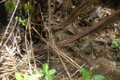 chaudieres_et_chemi_20140627_1287126517