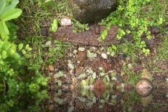 refl_aja_20140627_1272596128_jpg_7ece2760c9866d54052f125c75118744