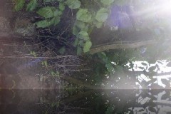 refl_aja_20140627_1792999643_jpg_b78932e1145c98b895d3db52e08afa83
