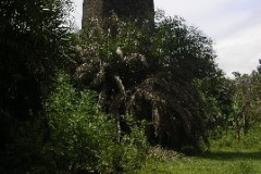 refl_chaudieres_et_chemi_20140627_1950618867_jpg_39040c9e8a5ad1612963c2bd5868d7bb