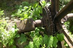 aja_20140627_1081436966