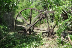 AJANGUA MAV FAWCETT ET LITTLEDALE