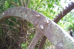 machine_a_vapeur_verti_20140627_1830969004