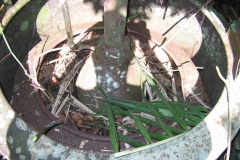hajangua__les_turb_20140627_1096704870