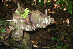 Graisseur (détail), Hydroextracteur BRISSONNEAU (AJANGUA)