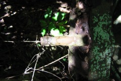 hajangua__les_turb_20140627_1414458355