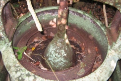 hajangua__les_turb_20140627_1527133388