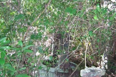 hajangua__les_turb_20140627_1944303750