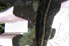 DETAIL MOULIN FAWCETT ET PRESTON