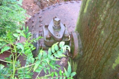 26-fevrier-021