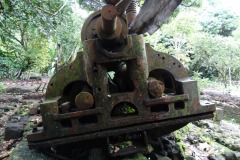 la_roseraye_17_juin_2017_21_20170620_1554884730