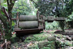 la_roseraye_17_juin_2017_27_20170620_2007708343