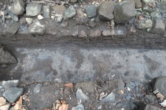 la_roseraye_17_juin_2017_37_20170620_1591328512