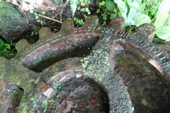 la_roseraye_23_mars_2015_13_20150709_1259887502