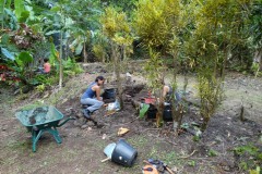 la_roseraye_27_mai_2015_1_20150709_1630529587