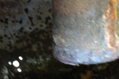 la_roseraye_27_mai_2015_6_20150709_2058397386