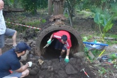 la_roseraye_28_mai_2015_7_20150709_1258731489