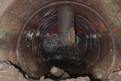 la_roseraye_28_mai_2015_9_20150709_1095779136