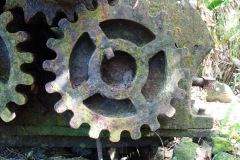 la_roseraye_29_avril_2015_15_20150709_1343503620