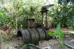 la_roseraye_29_avril_2015_1_20150709_1420584555