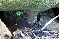 la_roseraye_29_avril_2015_37_20150709_1491279637