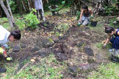 la_roseraye_09_novembre_2016_1_20161109_1340098123