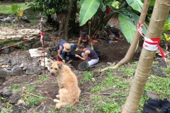 la_roseraye_09_novembre_2016_2_20161109_1888997342