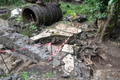 la_roseraye_09_novembre_2016_5_20161109_1970924348