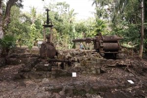 La Roseraye : Journées nationales de l'archéologie