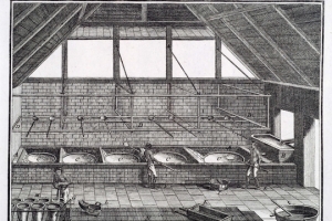 La Roseraye : Plans et gravures