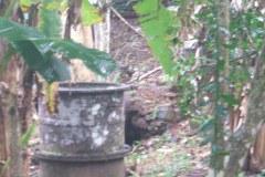 me_20140627_1056093429