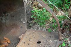 lon_20140627_1100434519